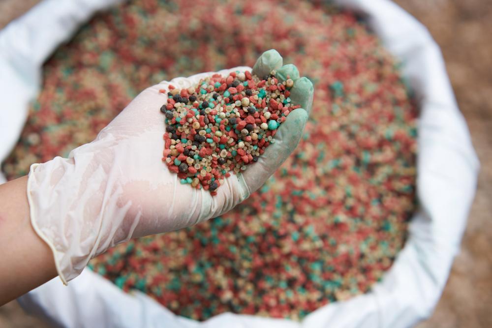 Fertilizer 101: Giving Your Plants a Proper Diet