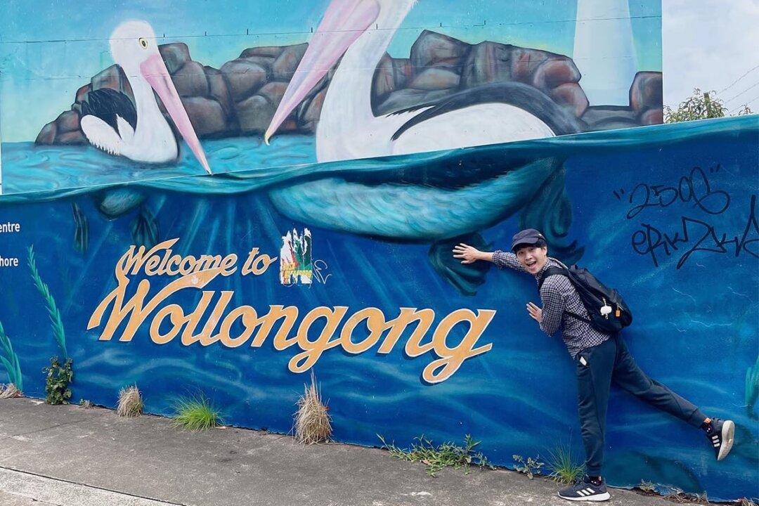 Flight Attendant Spends 10 Years Savings to Migrate With His Cat to Australia as Illustrator