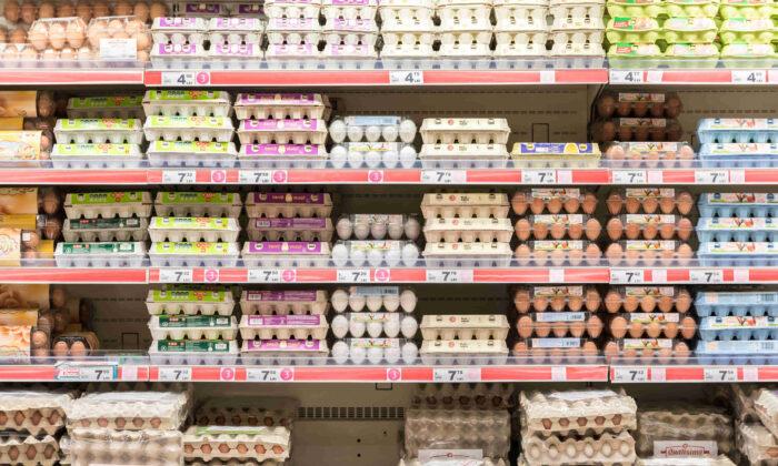 Soaring Egg Prices and the Unprecedented Avian Flu Outbreak
