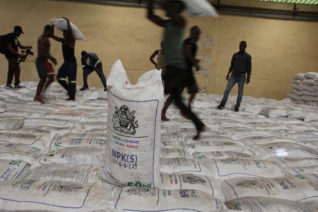 Russia Gives Fertilizer to Malawi, Seeks African Support