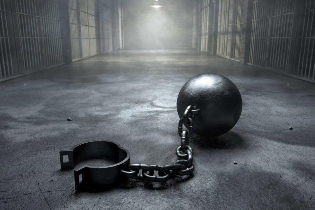 What the WHO Is Actually Proposing