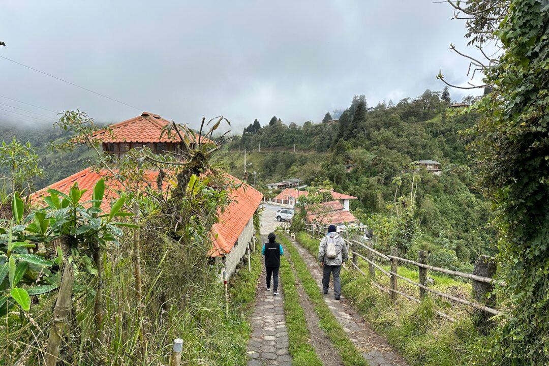 Big Flavors in a Cloud Forest: Discovering Ecuador’s Yunguilla