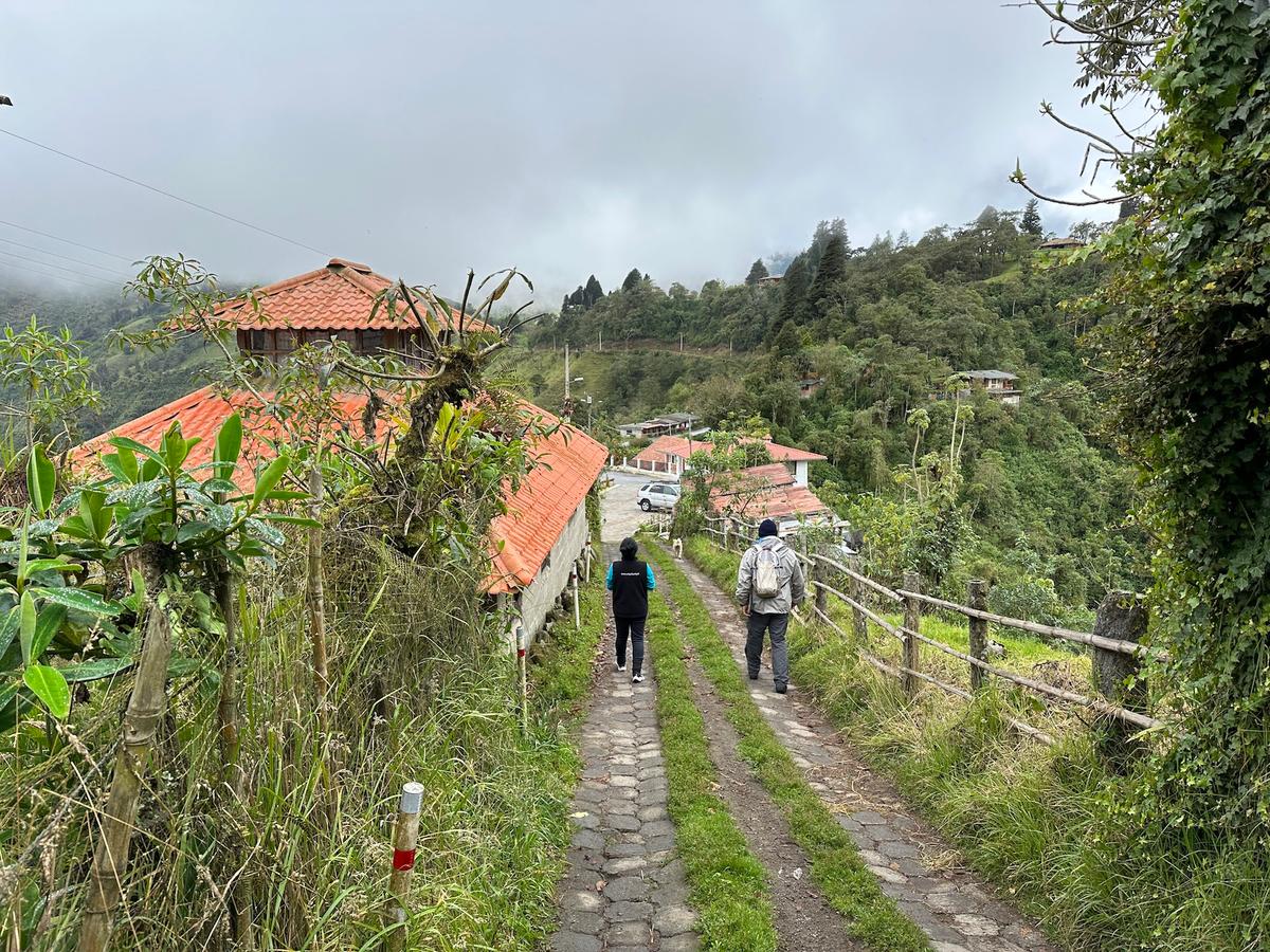 Big Flavors in a Cloud Forest: Discovering Ecuador’s Yunguilla