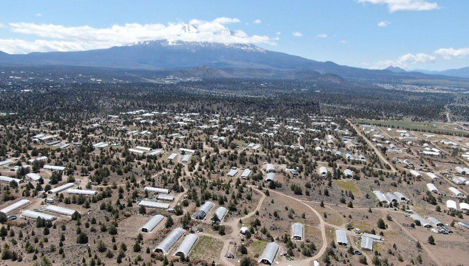 Managing California’s Cannabis Industry Requires Vigorous Law Enforcement