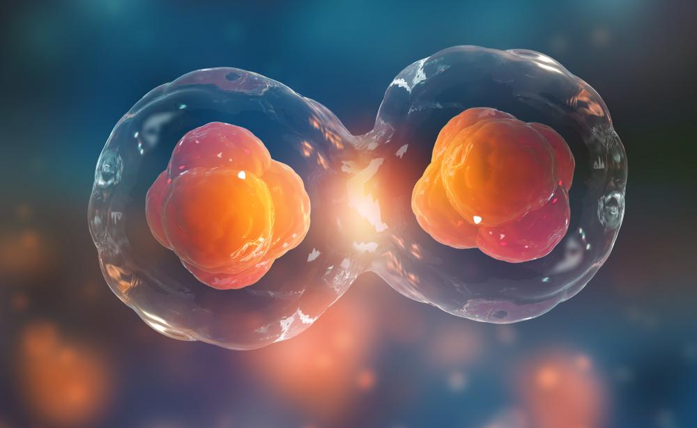 Field of Feelings: How Our Thoughts Can Be Infectious Too
