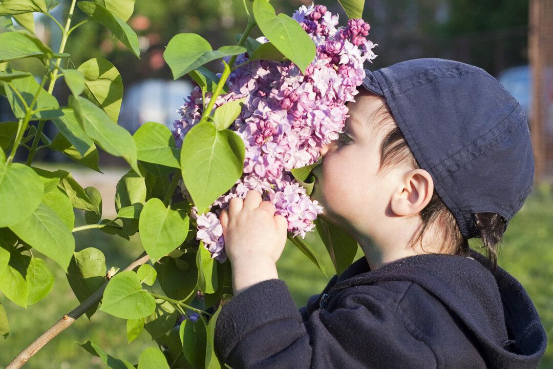 Savor Your Next Trip by Tuning in to Your Senses