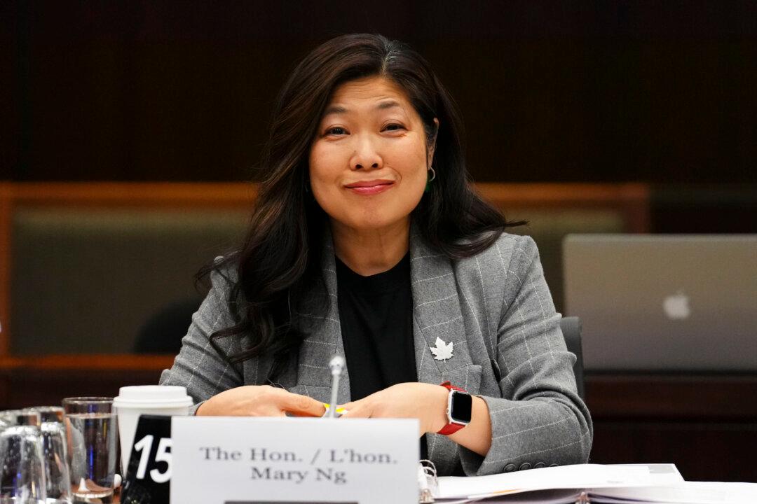 Trade Minister Confronted on Lack of Forced Labour Products Intercepted at Borders