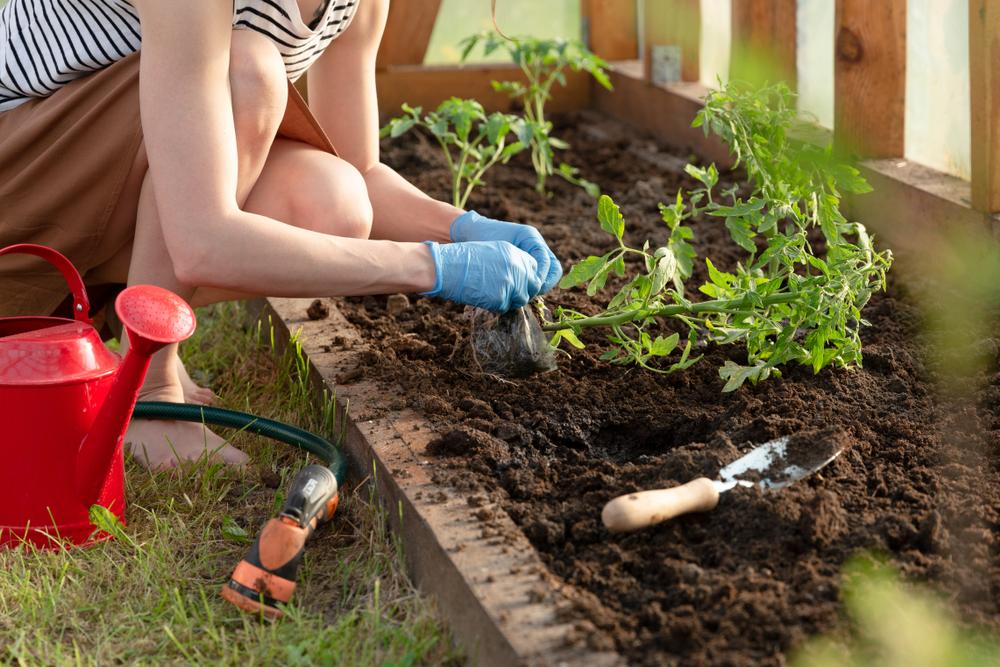 Want a Healthy, Bountiful Garden? Start With the Soil