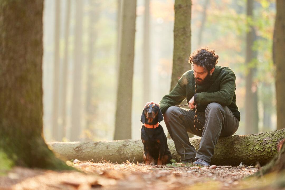 Science-Backed Benefits of Forest Walking That Will Surprise You