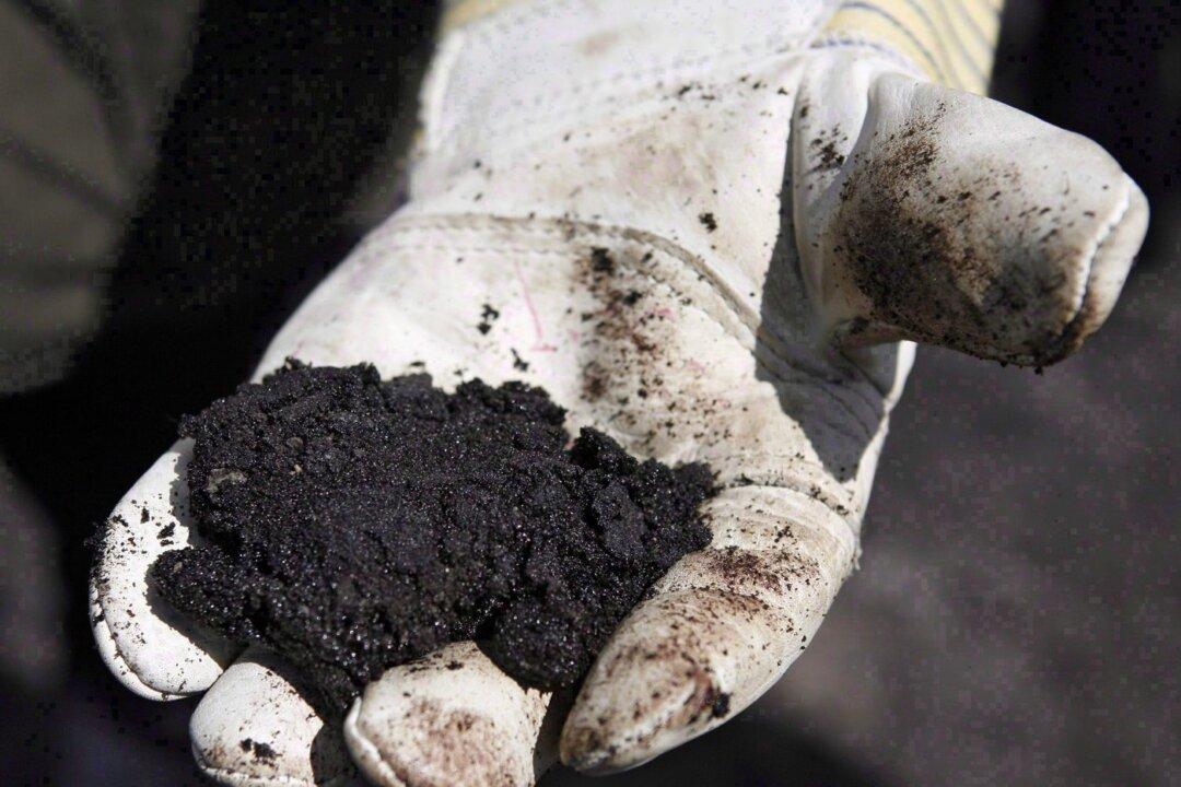 Federal and Alberta Governments to Study Oilsands Tailings Leak Communication