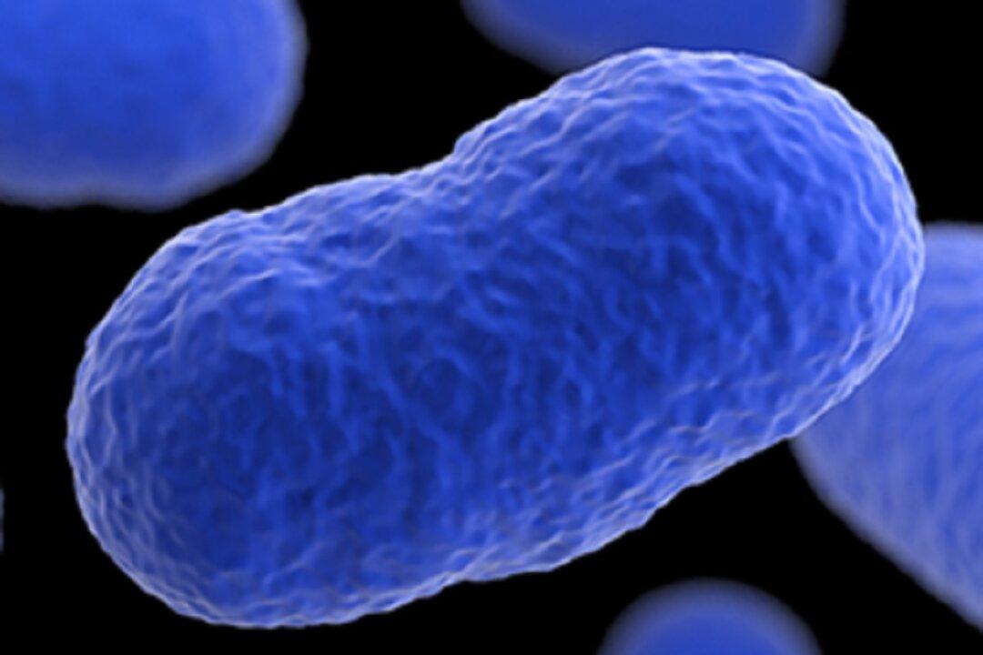 Mysterious Listeria Outbreak Across US Raising Concerns, No Source Identified Yet, Says CDC