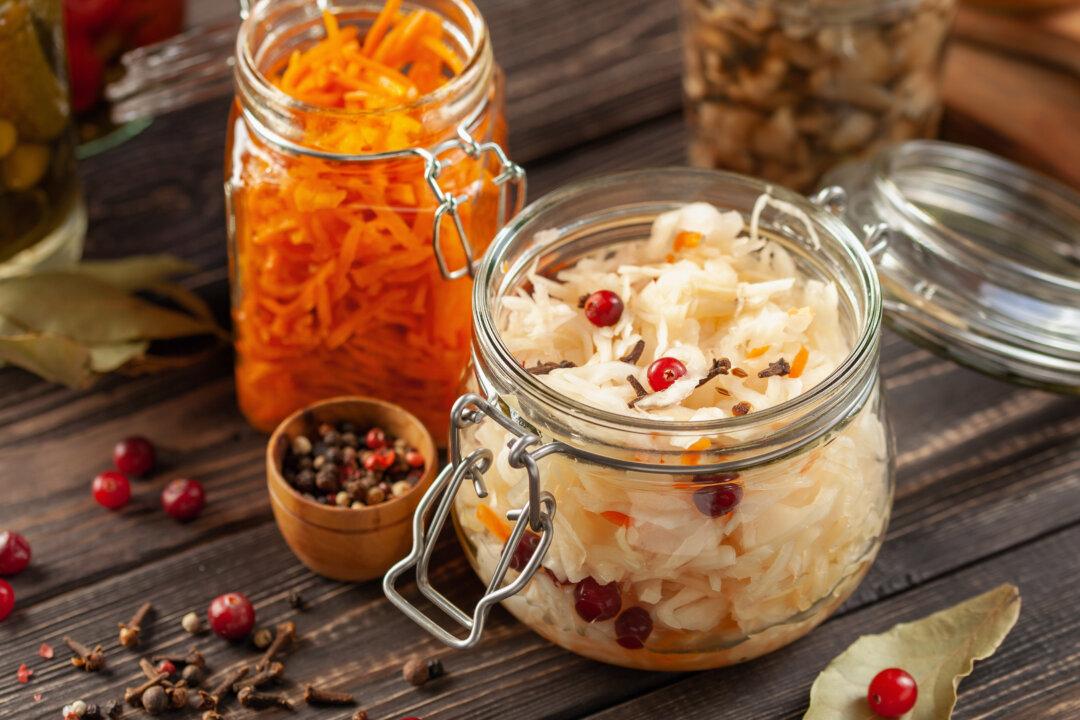 The Universal Appeal of Lacto-Fermented Foods