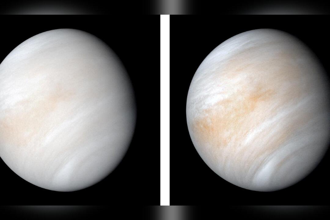 New Analysis Reveals Dynamic Volcanism on Venus