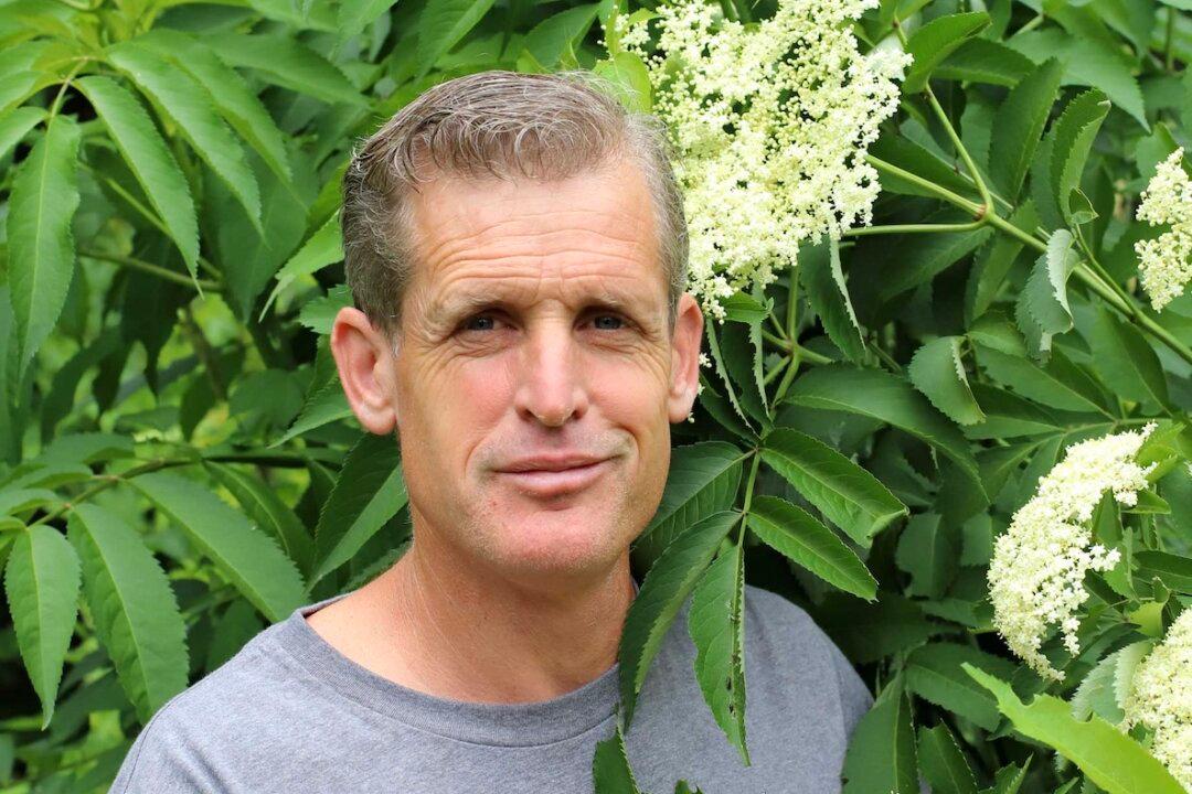 Why Forage? to Eat ‘The Best Stuff You’ve Ever Had,’ Says Sam Thayer