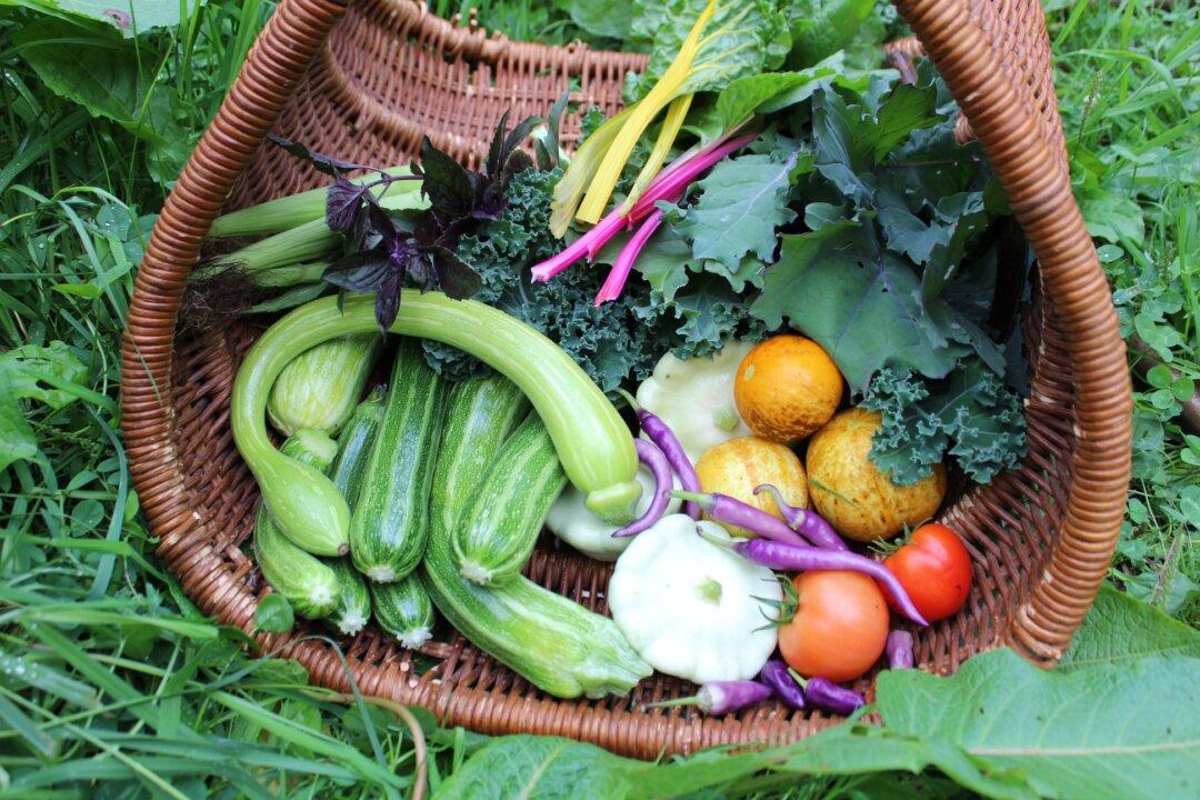 3 Expert-Approved Gardening Methods to Start Growing Your Own Food