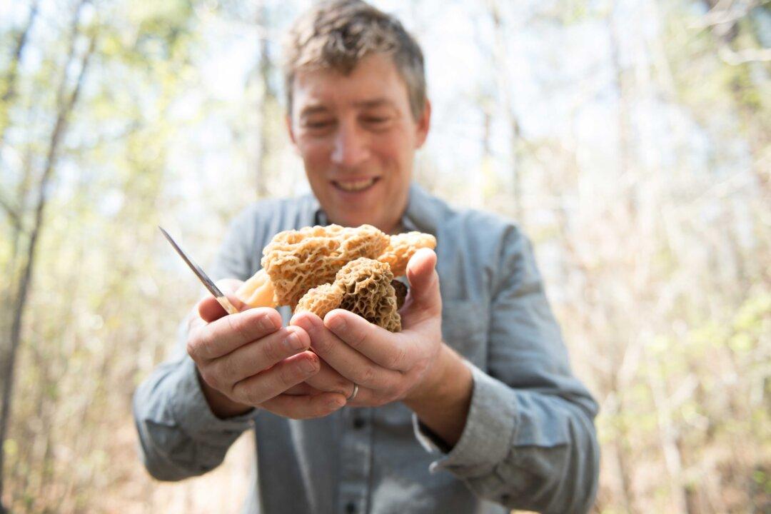 Why I Forage: Langdon Cook, the Outdoorsman