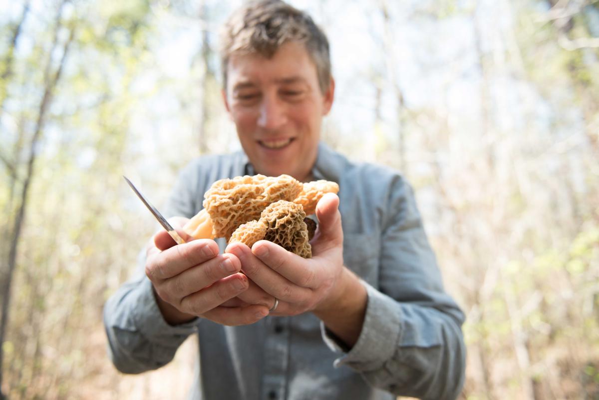 Why I Forage: Langdon Cook, the Outdoorsman