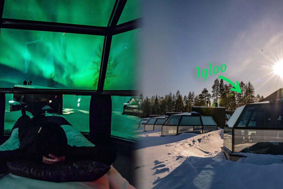 Wildlife Lover Builds ‘Glass Igloos’ in Arctic to View Northern Lights From the Comfort of Your Bed