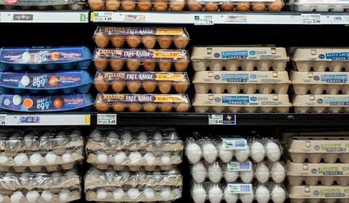After Reaching Record Levels, Egg Prices Drop Steeply in March as Price Gouging Allegations Linger