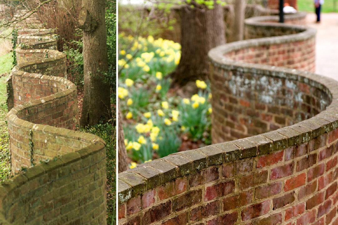 The ‘Crinkle Crankle’ Walls: The Historic Wavy Walls That Use Fewer Bricks and Protect Plants