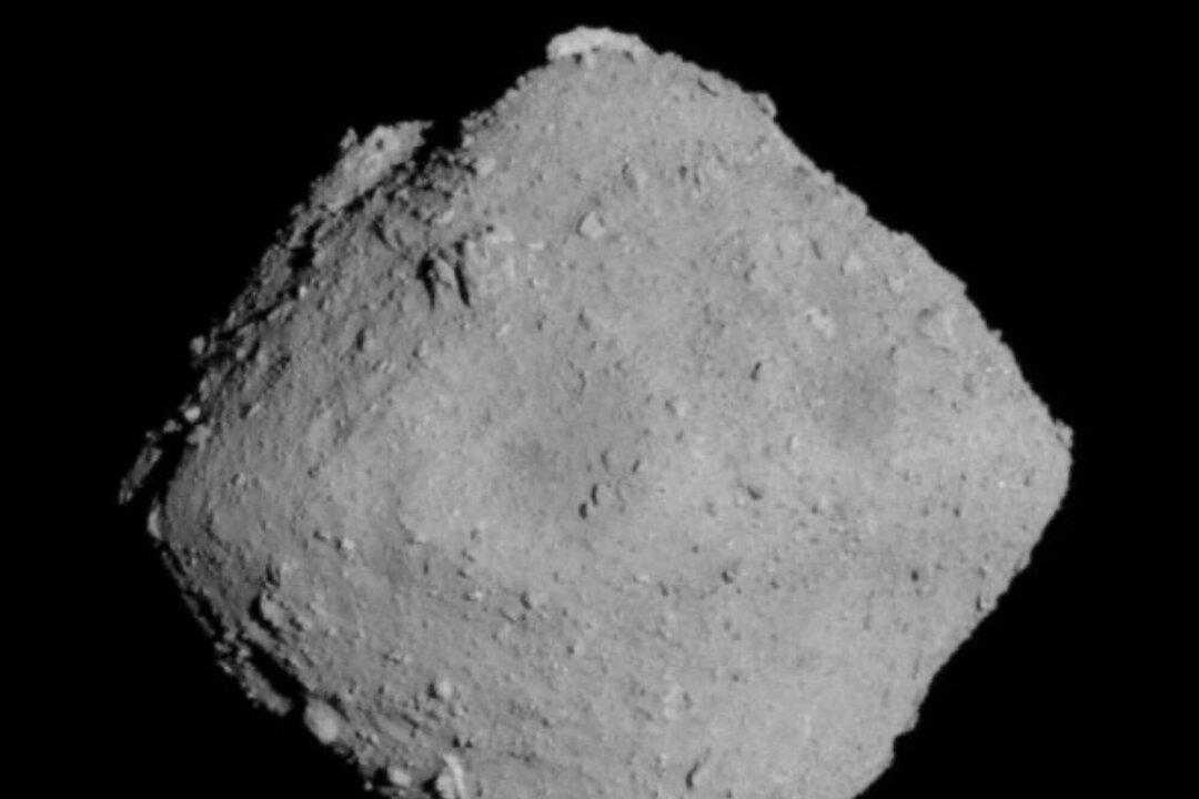 Asteroid Discovery Suggests Ingredients for Life on Earth Came From Space