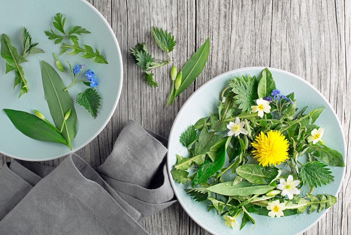 Spring Tonics: The Best Cleansing Herbs—and Recipes—to Welcome the New Season