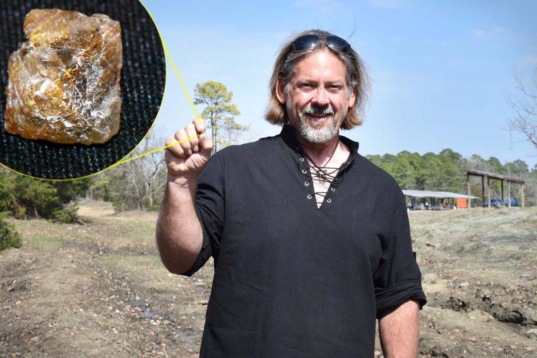 Treasure Hunter Unearths 3.29-Carat Diamond as Large as an ‘English Pea’ at State Park, Plans on Selling It