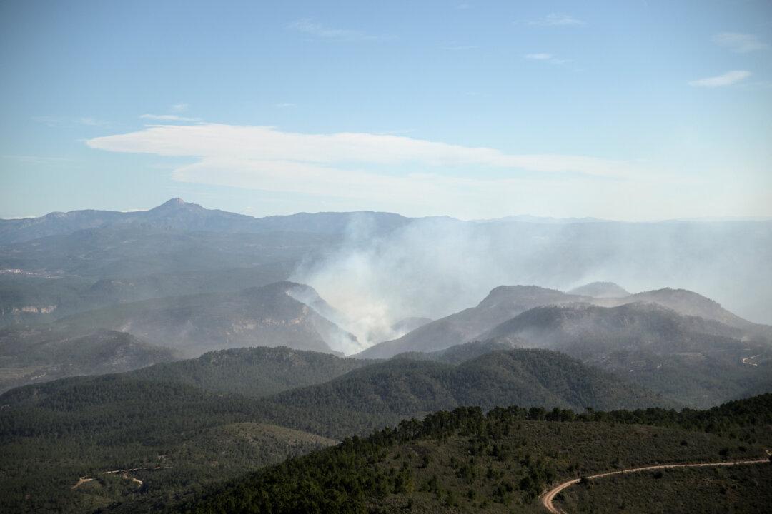 Spain Tells ‘Fire Tourists’ to Stay Away From Forest Blaze
