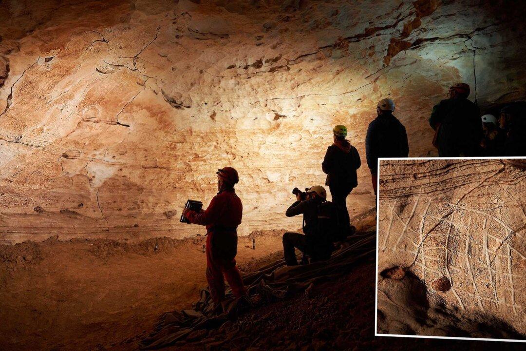 Explorers Uncover Cave in Spain With Over 100 Prehistoric Engravings Depicting Copper Age Pastoral Life