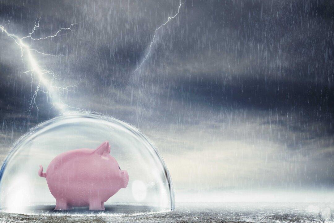 How to Shelter in the Financial Storm