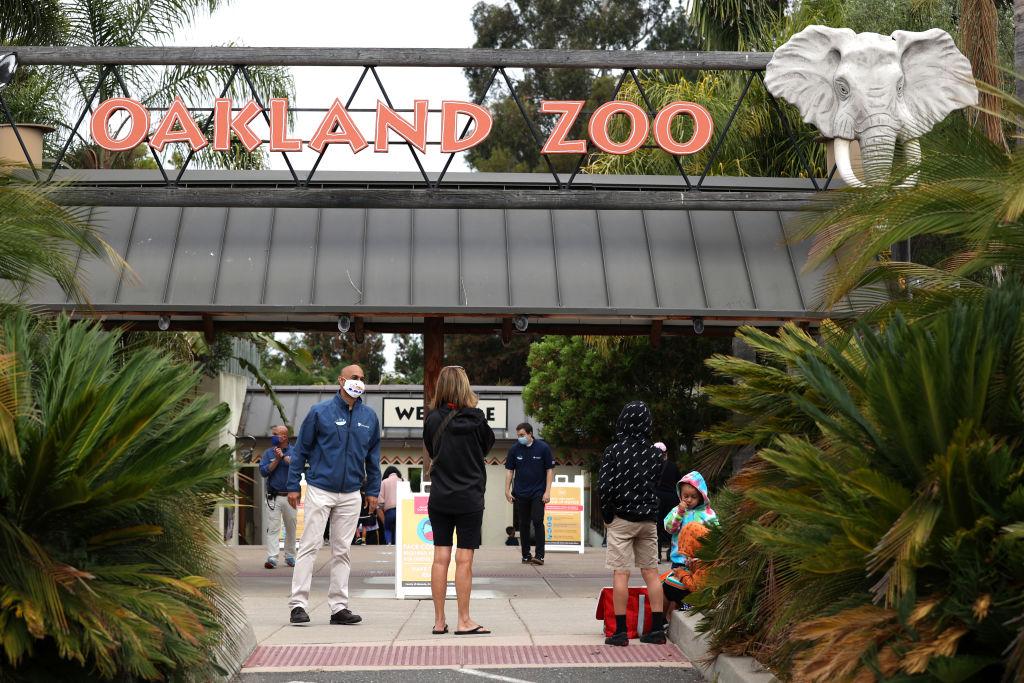 Oakland Zoo Recovers 5 of 6 Birds That Escaped Storm-Damaged Aviary
