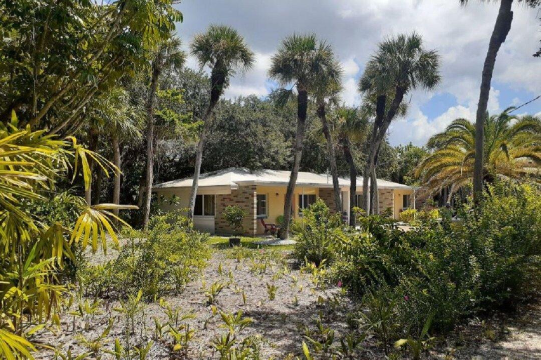 Natural Rights for People and the Environment