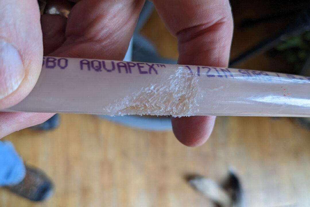 Be Ready—Pipes Can Burst in Any House