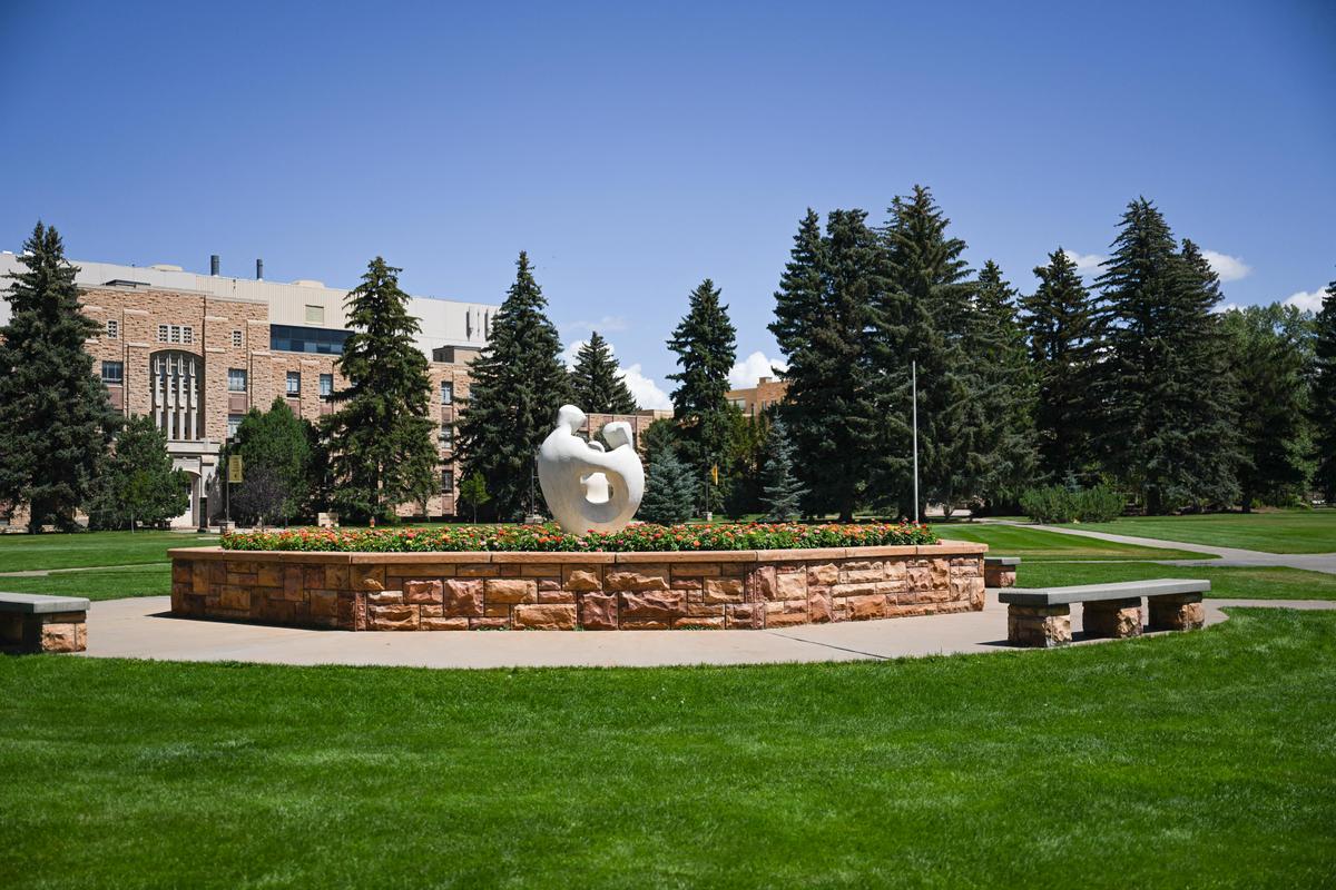 Seven Women Sue Sorority at University of Wyoming for Admitting Man Claiming to Be Female