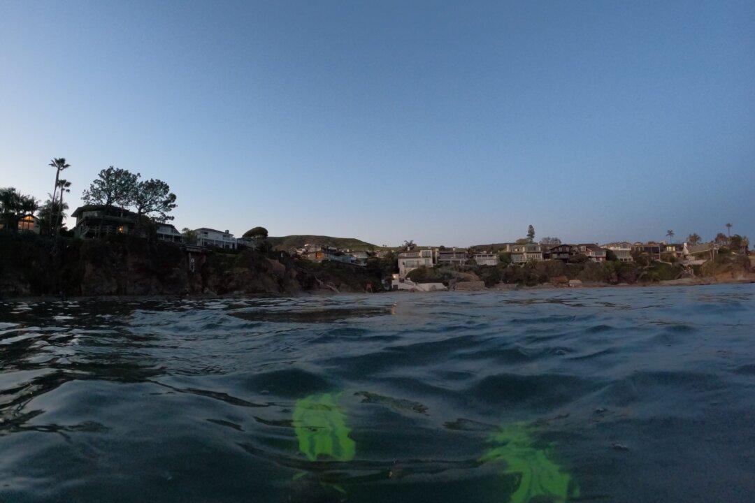 Laguna Beach Scuba Diver Who Died Had Advanced Training