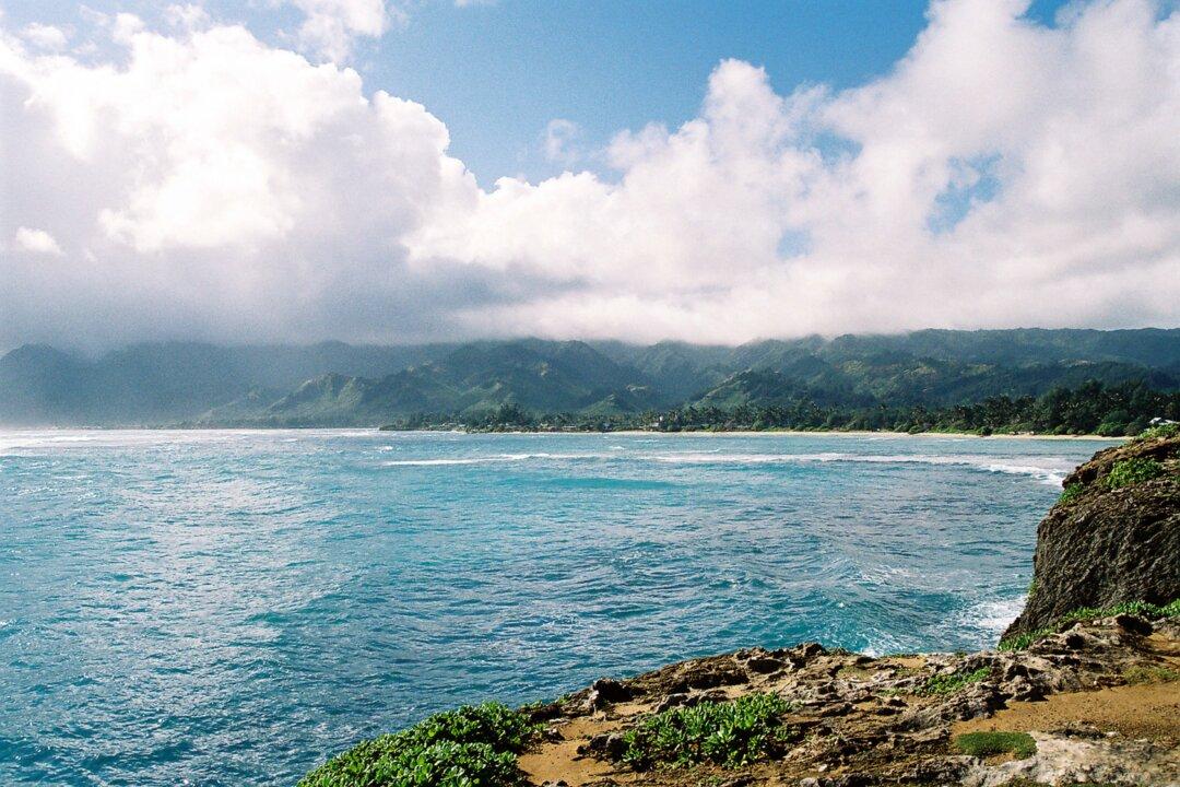 How You Can Go Shark Cage Diving Off Oahu’s North Shore