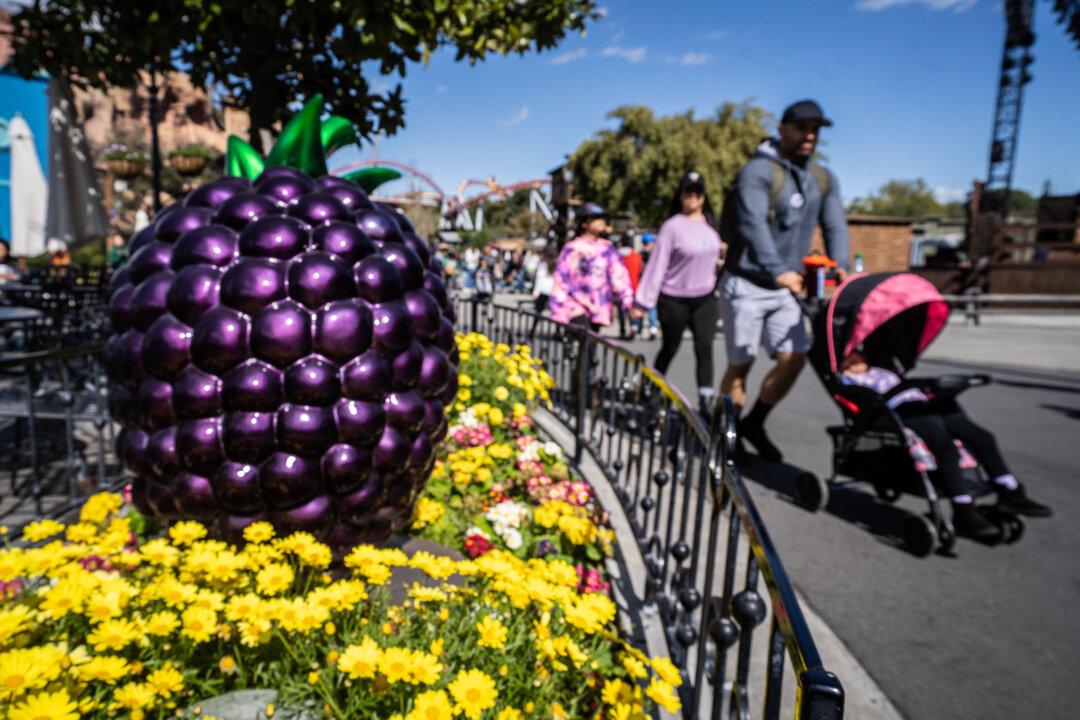 National Boysenberry Day Celebrated at Knott’s Berry Farm Annual Festival