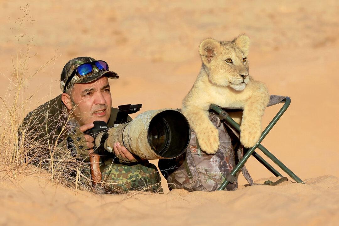 Photographer Is Accompanied by an Adorable ‘Assistant’ While Taking Photos in the Wild