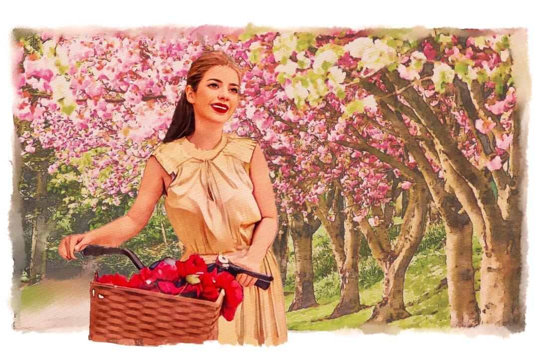 A Dance to the Music of Spring