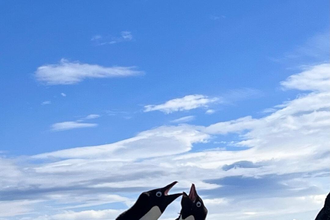 Epic Bucket-List Adventures