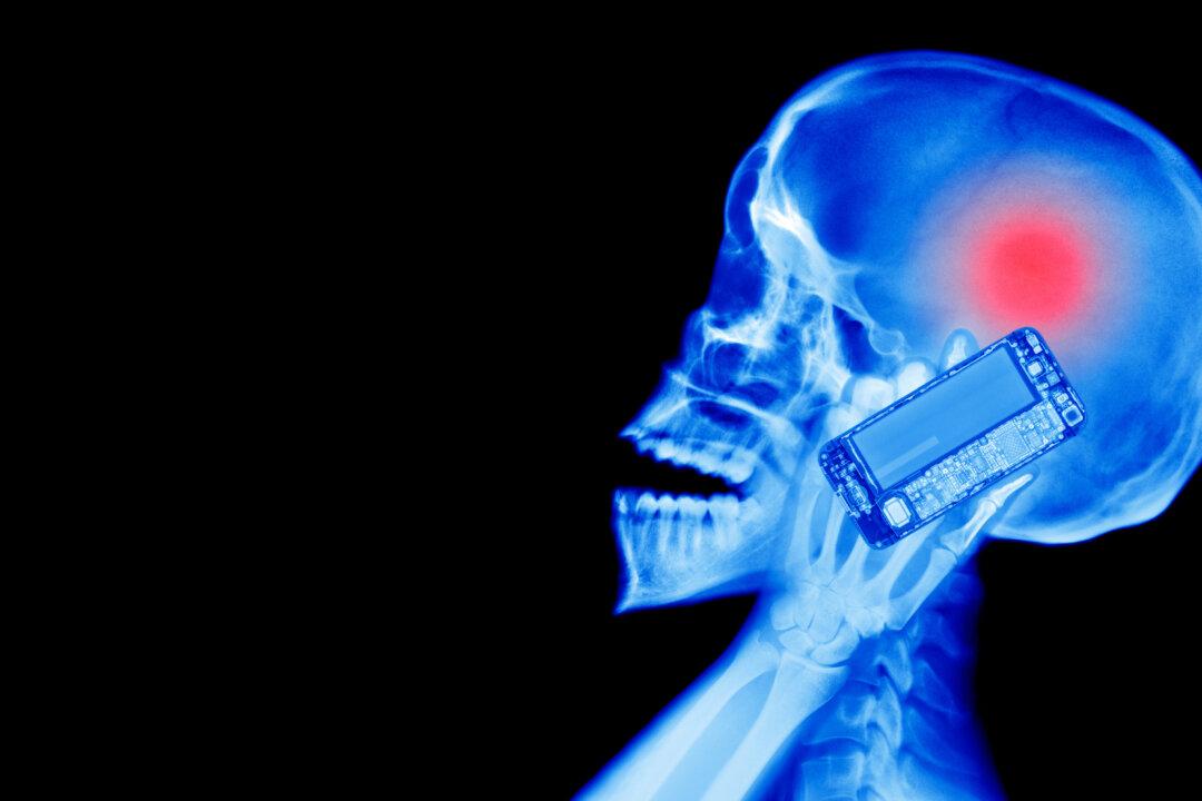 ‘Simple Engineering Fixes’ Could Reduce Cellphone Radiation, Scientists Say