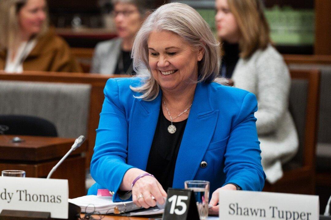 New Details of Johnston Mandate Emerge as MPs Allege Obstruction on Foreign Meddling