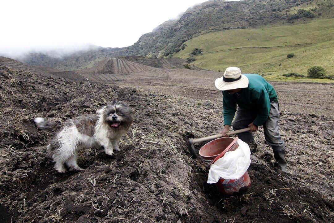 Some People Living Near Colombian Volcano Are Loath to Evacuate