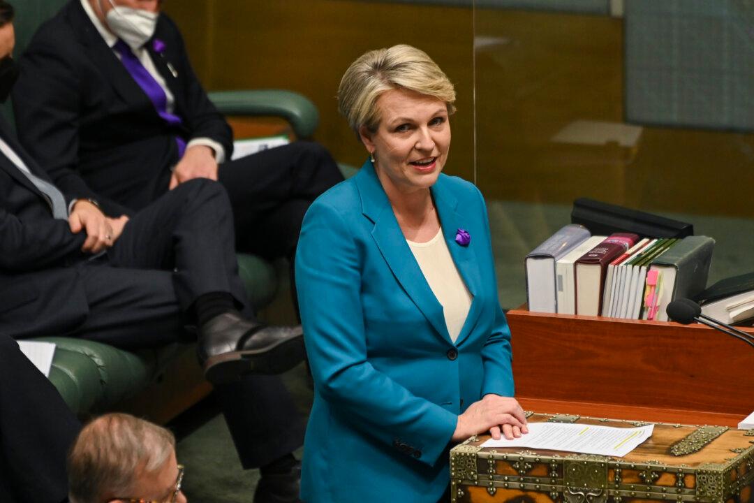 Australia Is Not Racist: Senior Minister Refutes ABC Journalist