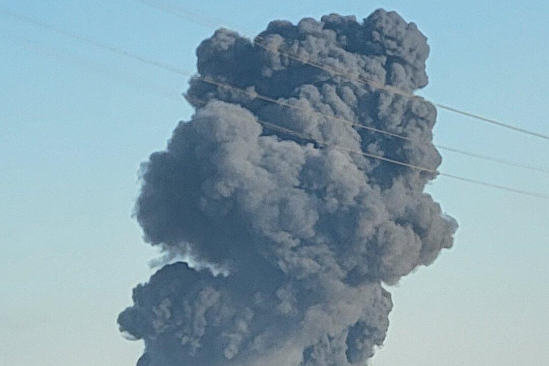 IN-DEPTH: What Caused Deadliest Barn Fire Involving Cattle in Texas History