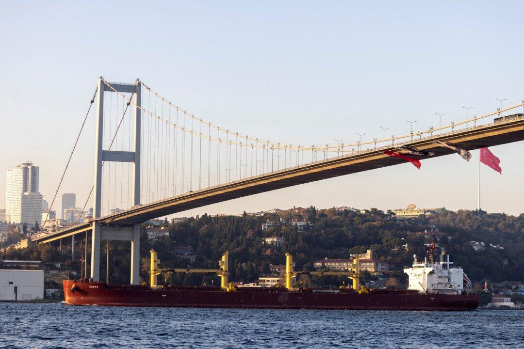 Russia Says Black Sea Grain Deal May Be Nearly Over