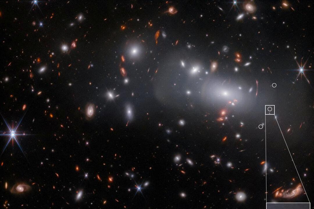 Compact Galaxy’s Discovery Shows Webb Telescope’s ‘Amazing’ Power