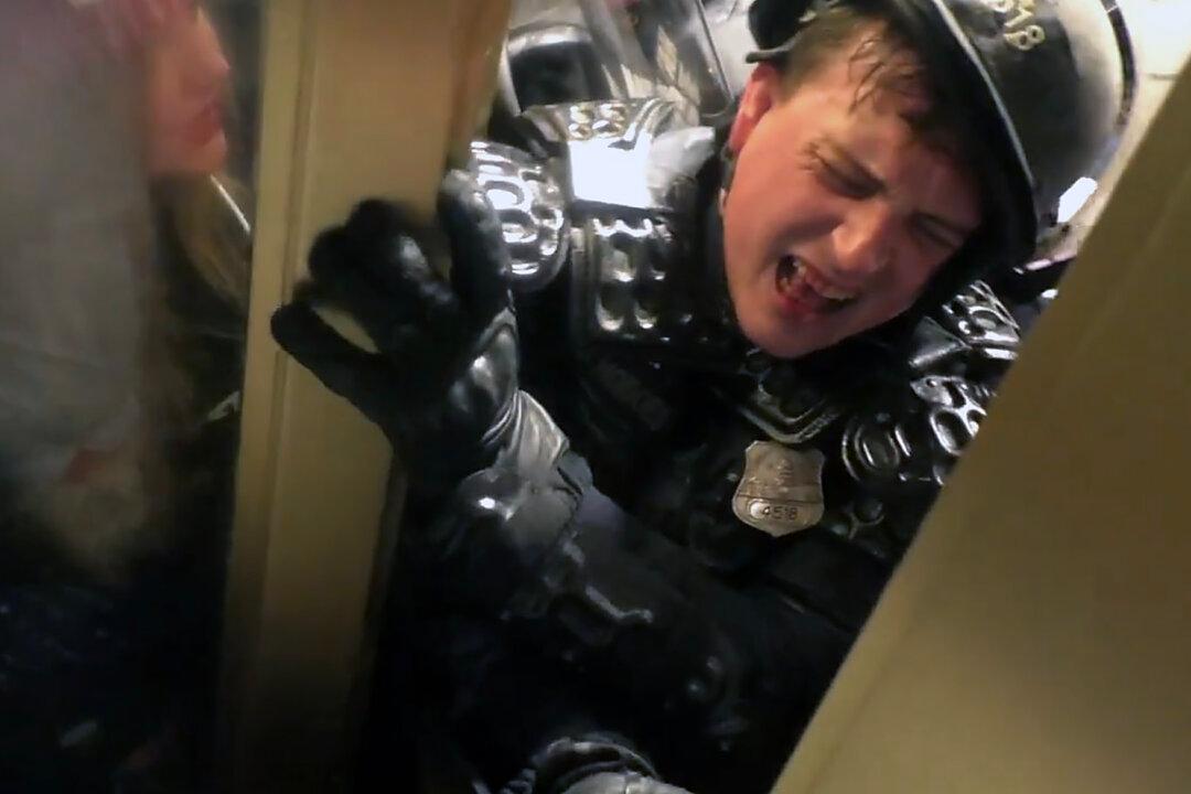 Man Who Crushed Police Officer on Jan. 6 Sentenced to 7.5 Years in Federal Prison