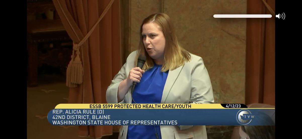 Washington State House Approves Bill Authorizing Hiding of Children Seeking Transgender Medical Intervention From Parents