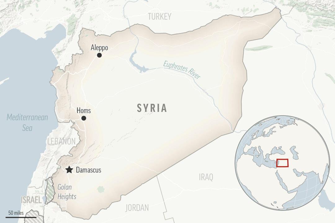 Reports: Terrorists Kill 26 People in Syrian Countryside